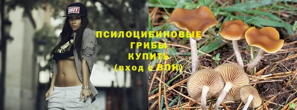 марки nbome Бородино