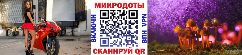 где можно купить   Тверь  Галлюциногенные грибы мицелий 